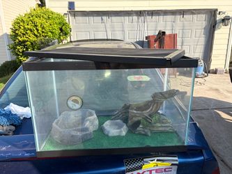 Glass Reptile Tank with Screen Lid and Accessories