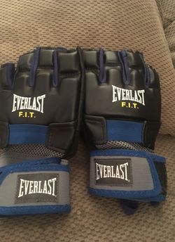 Everlast kickboxing gloves