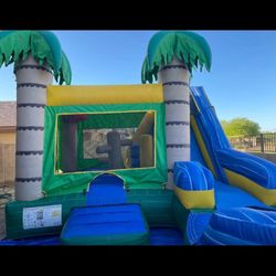 Regular Bouncer/ Waterslide 