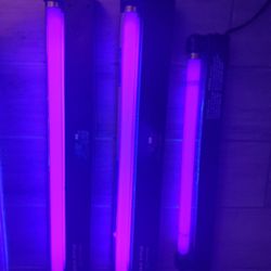 3 Blacklights