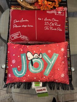 🎄Holiday Pillows 