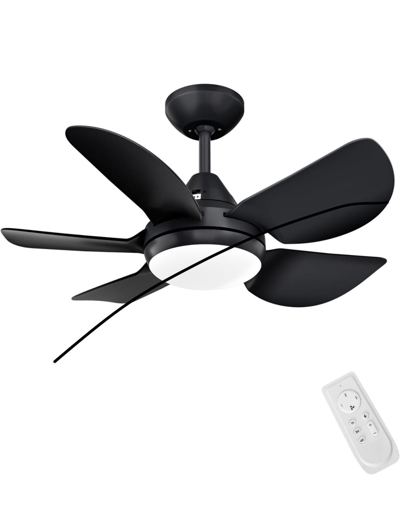 Small Ceiling Fan with Light