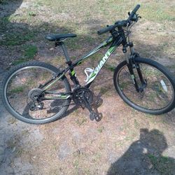 Giant.  Reval