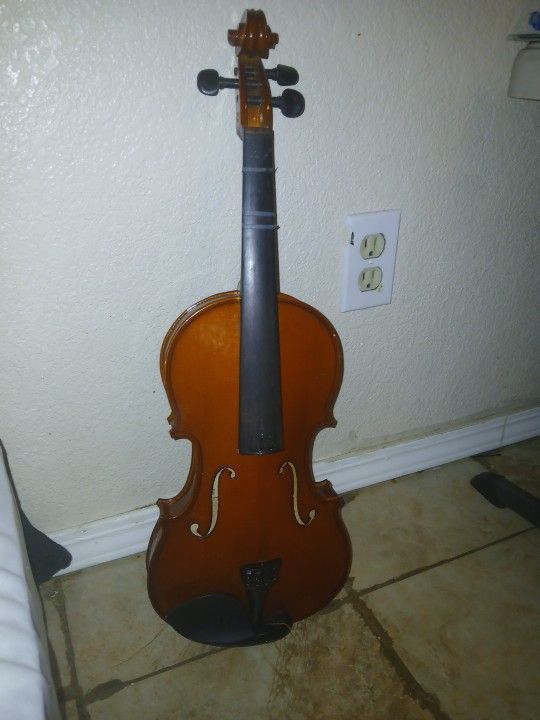 Violin