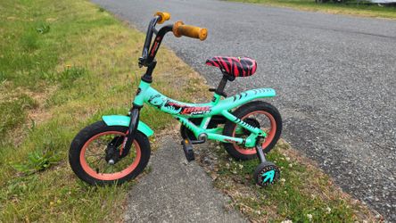 Free kids bike