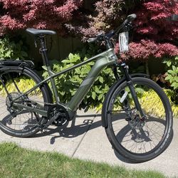 Cannondale Tesoro Neo X1 - NEW PRICE