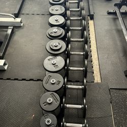 5-50 Ib Dumbbells GymPak 