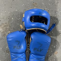 Fly Headgear And gloves boxing 