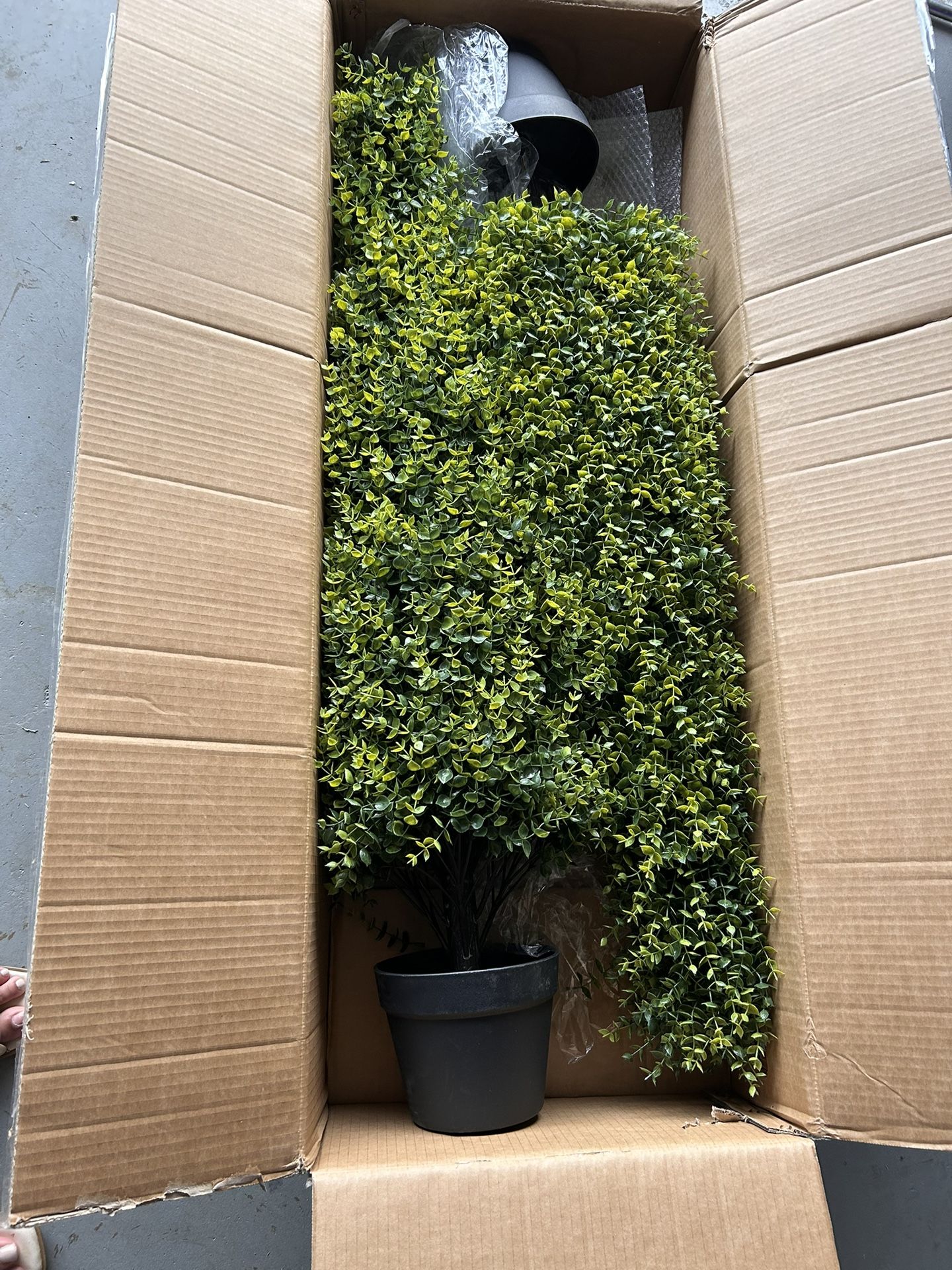 Artificial Boxwood Topiary Tree Set Of 2