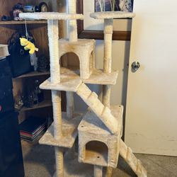 Cat Play House 