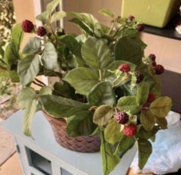 Artificial raspberry plant in ceramic pot