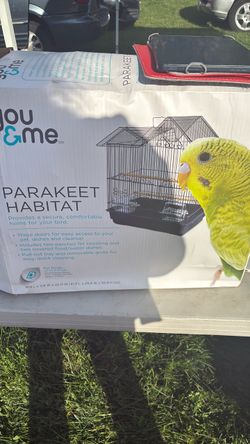 Parakeet habitat