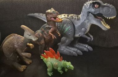 Dinosaur bundle
