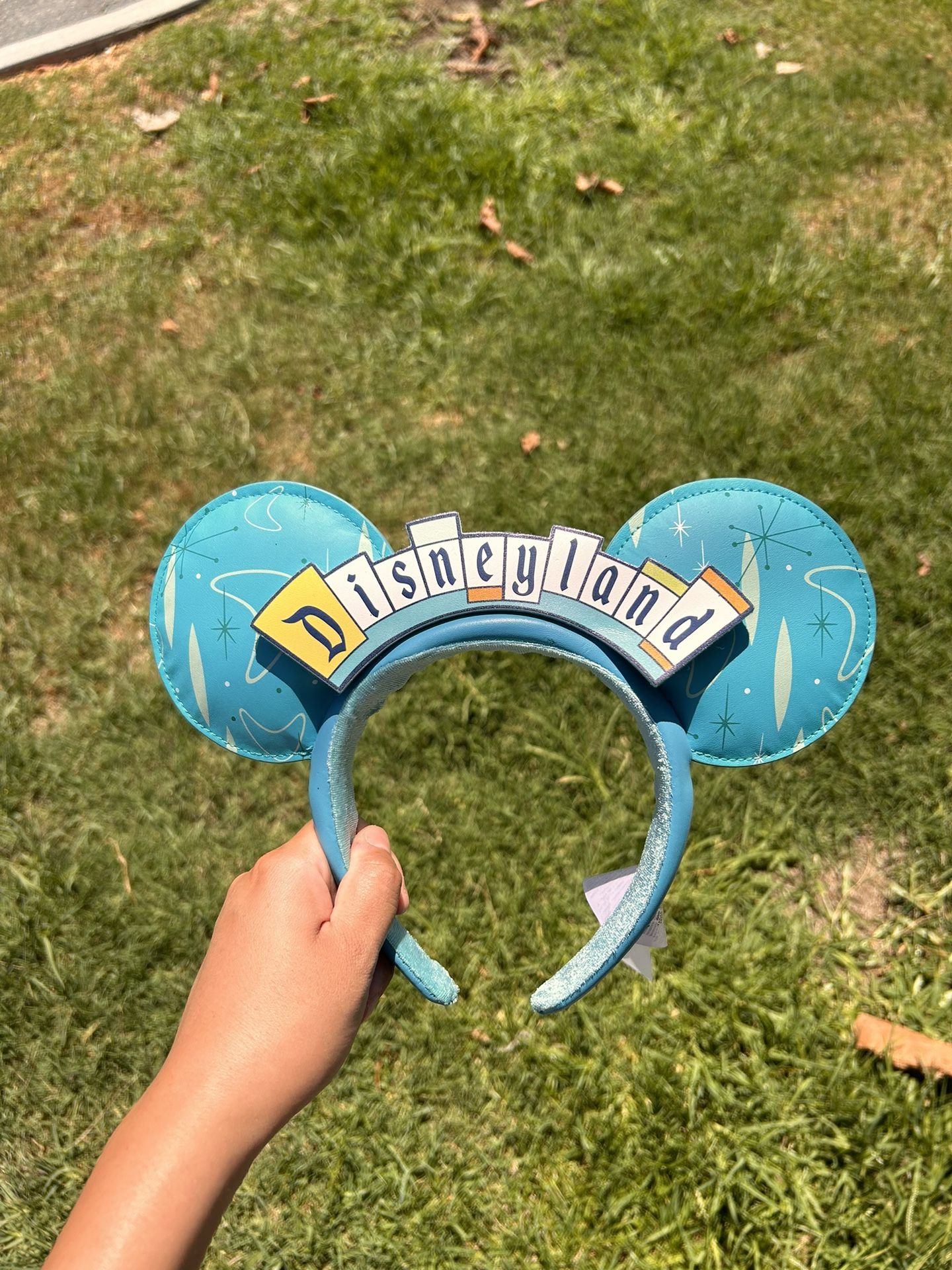 Disney Ears