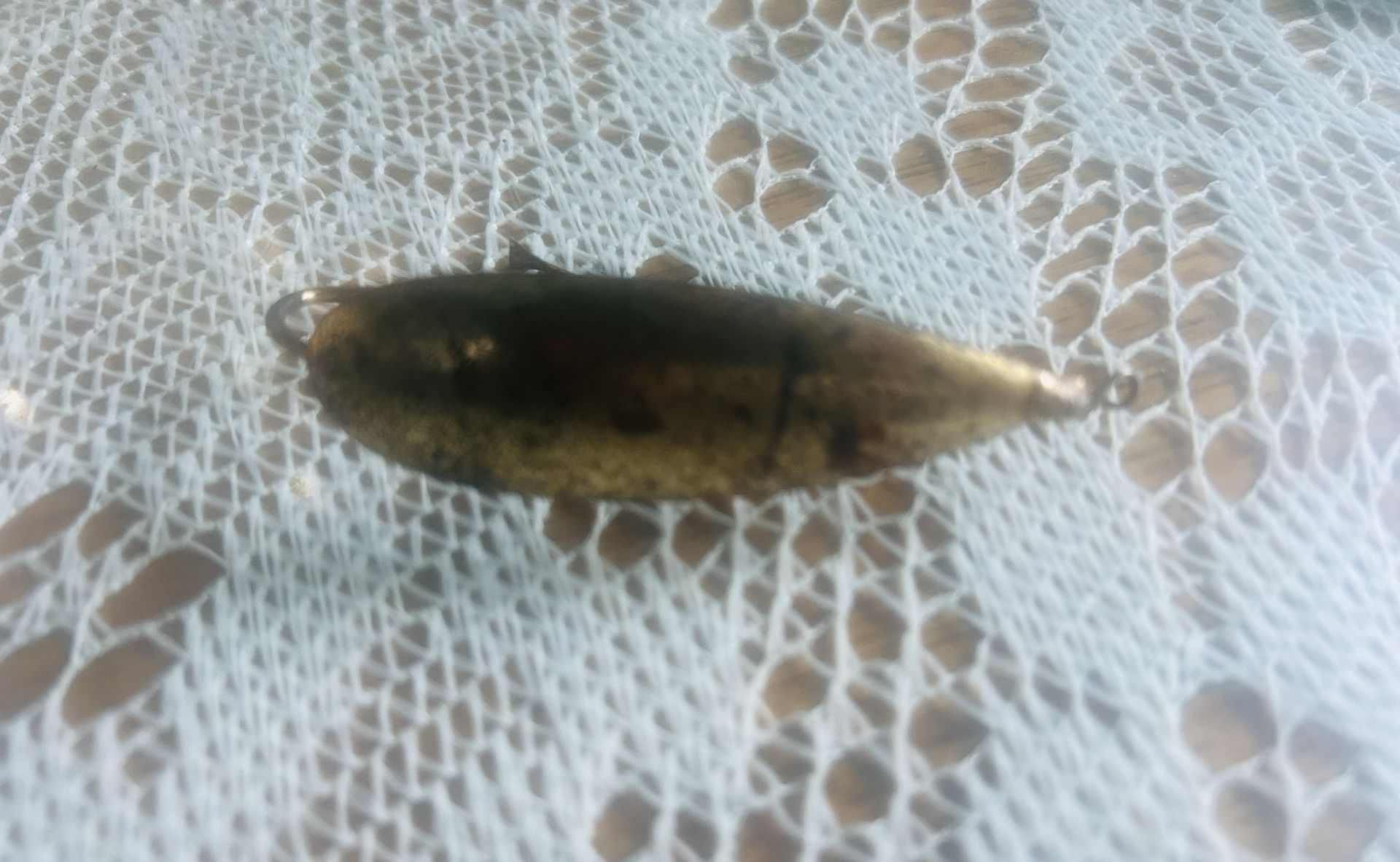 Antique Johnson’s Silver Minnow 6-22 1926