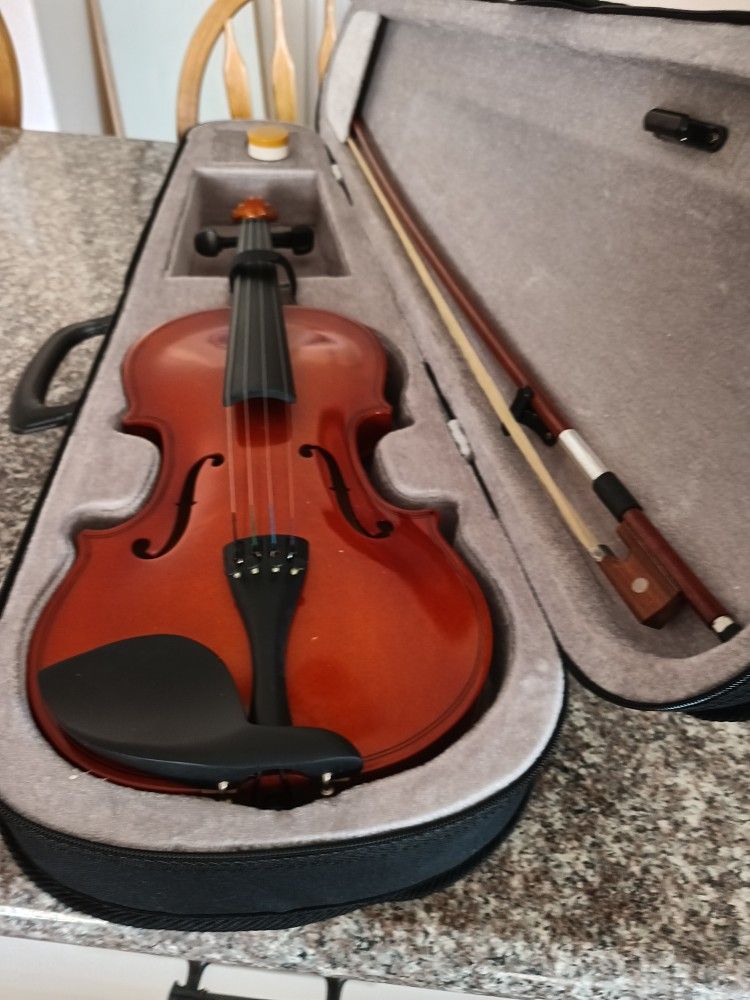 Violin 4/4 With Case Bow Chin Rest And Rosen