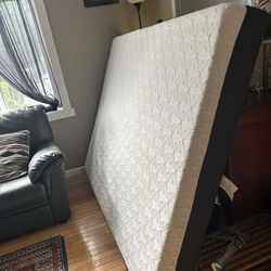 Queen Mattress (Wine Spot)