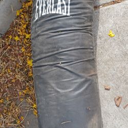 Everlast Punching Bag - FREE