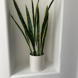 Snake Plant Faux Comes With White pot