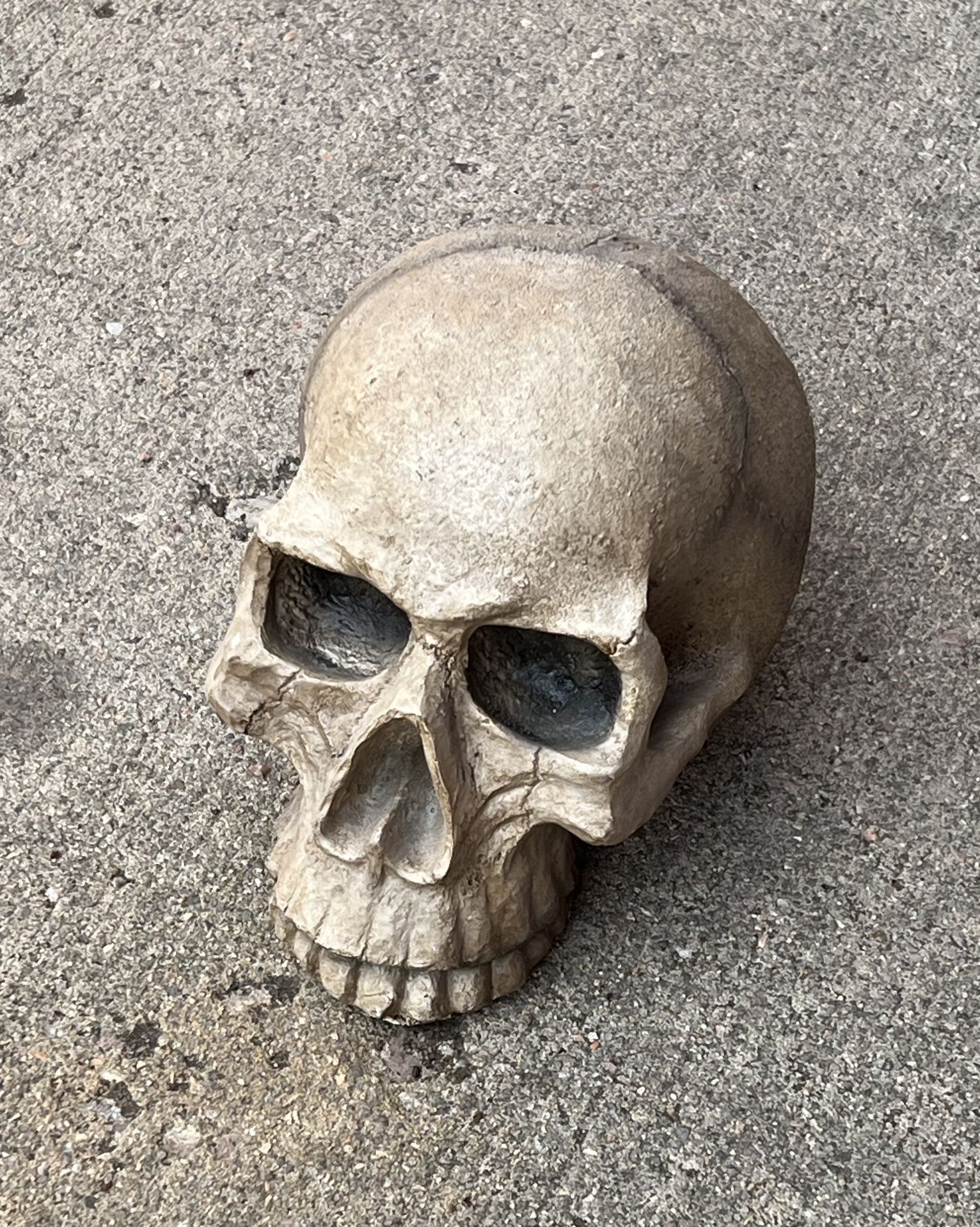 Plastic Skull Decor