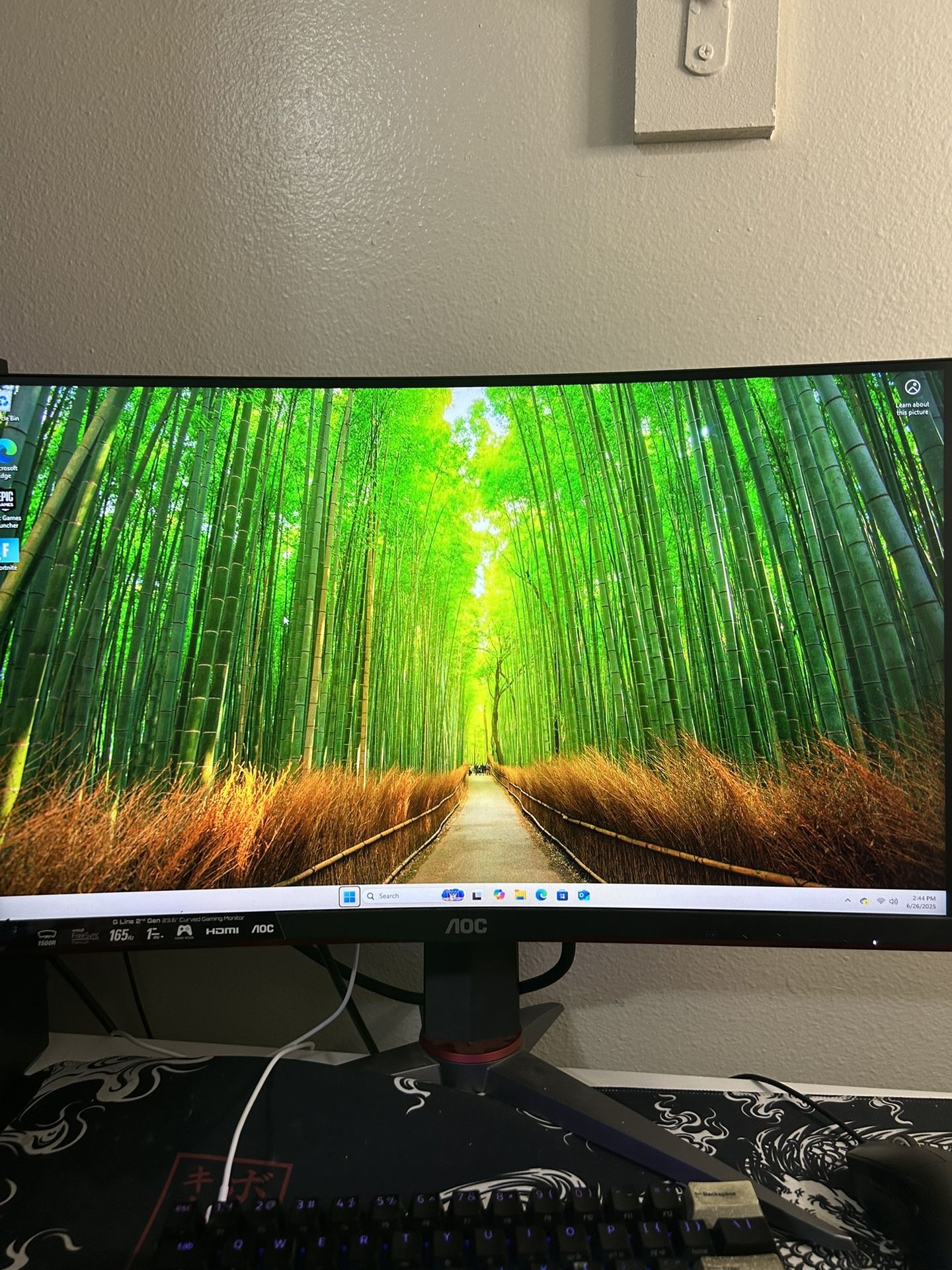Gaming Monitor