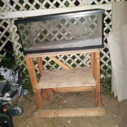 Fish Aquarium