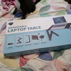 Laptop Desk