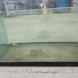 100 Gal Tank