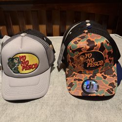 Gallo Fino / Dandy Hats 
