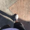 YLsneaks