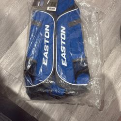 Easton Game Ready Bat pack CH/RY
