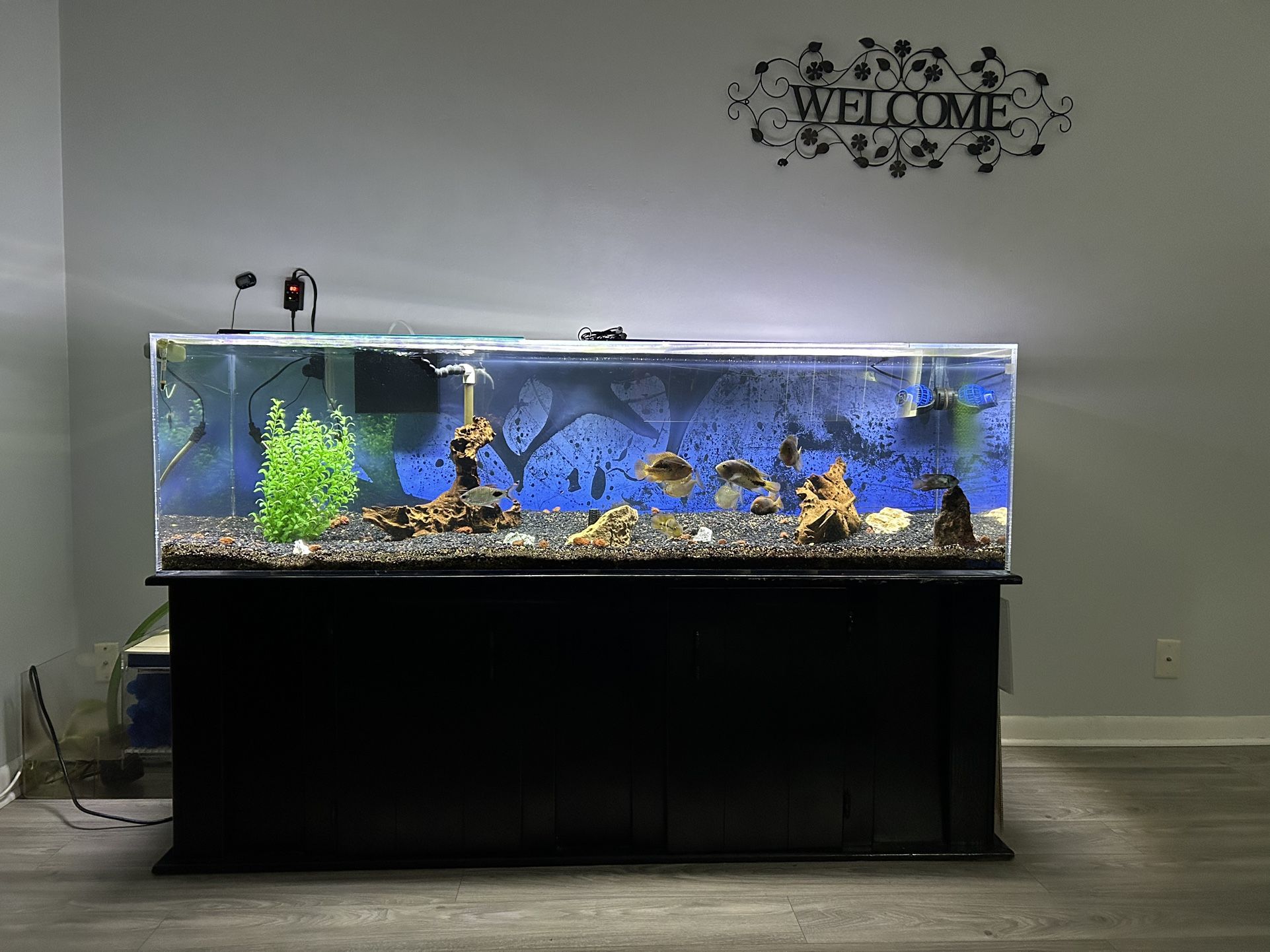 150 Gallon acrylic aquarium