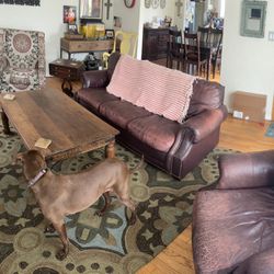 Living Room Set (Sofa And 2 Chairs