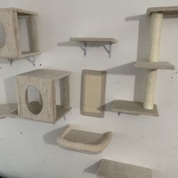 Cat Climbing Wall