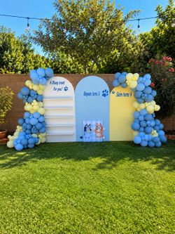 Balloon Decor
