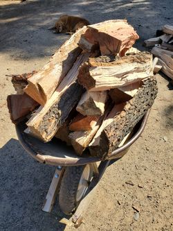 Firewood 🔥🔥🔥