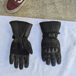 Rideing Gloves     50$  New Only Used Once