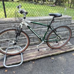 Good Cheap Bike