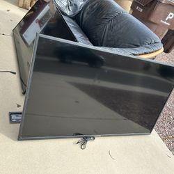 Sceptre 55”