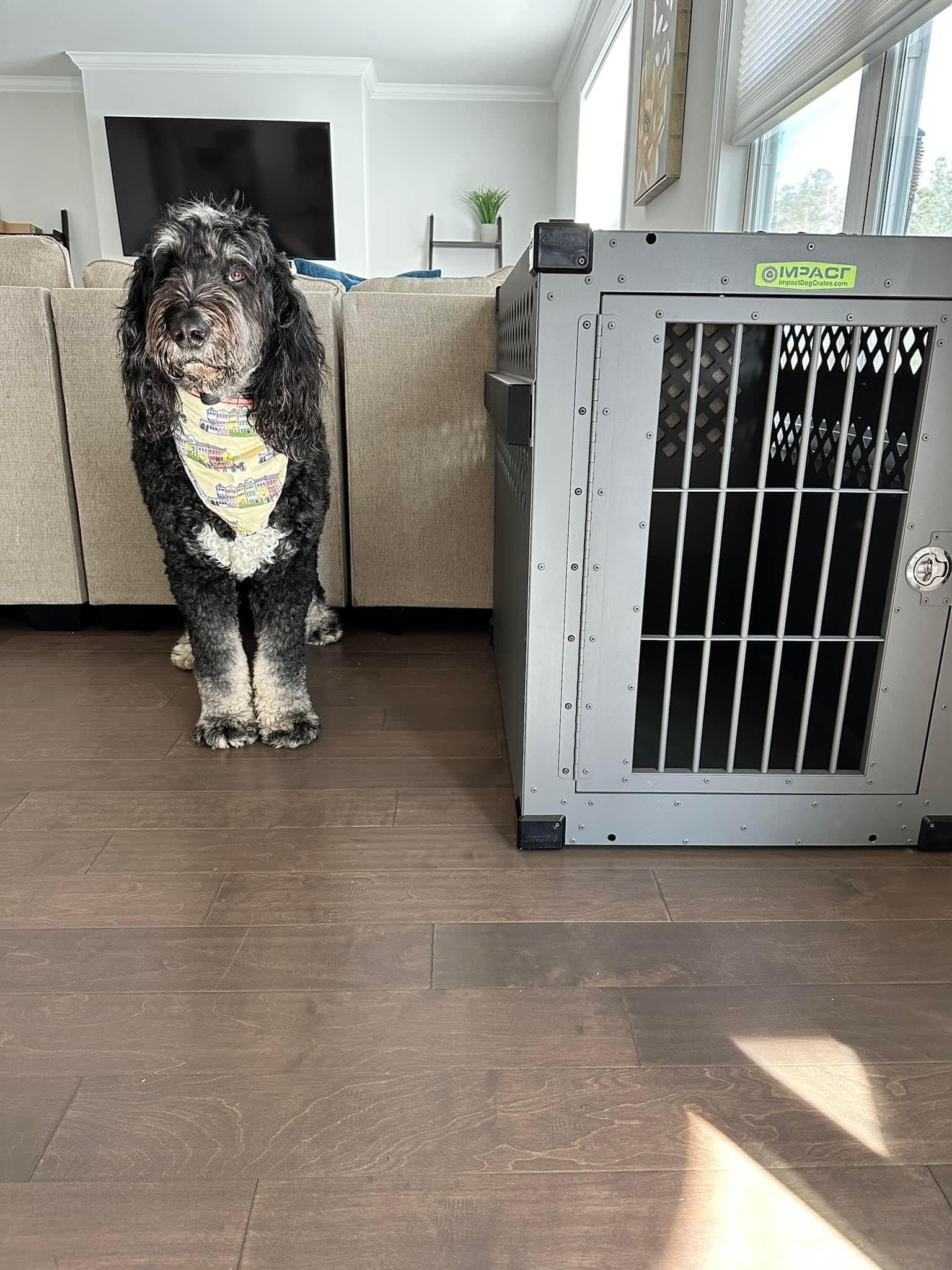 Impact Dog Crate