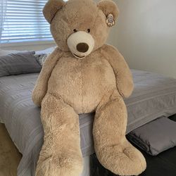 Costco Giant Bear