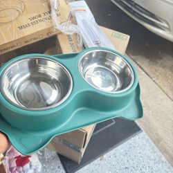 Dog Bowl