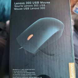 Lenovo 300 USB mouse