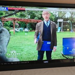 Vizio TV with 120Hz refresh rate and HDMI Model No.:
E422VLE