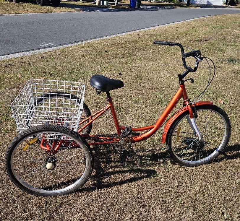 24 INCH SINGLE SPEED ADULT TRICYCLE