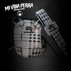 Dog Harnes With Leash