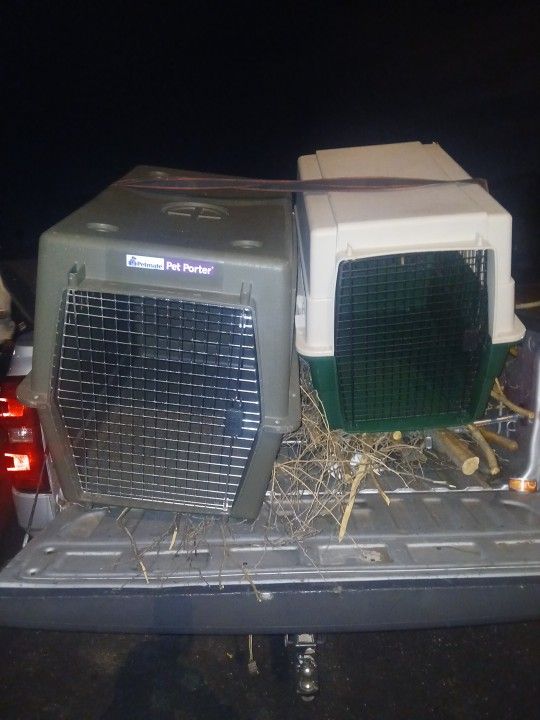 Dog crate