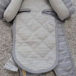 Goldbug Carset Insert