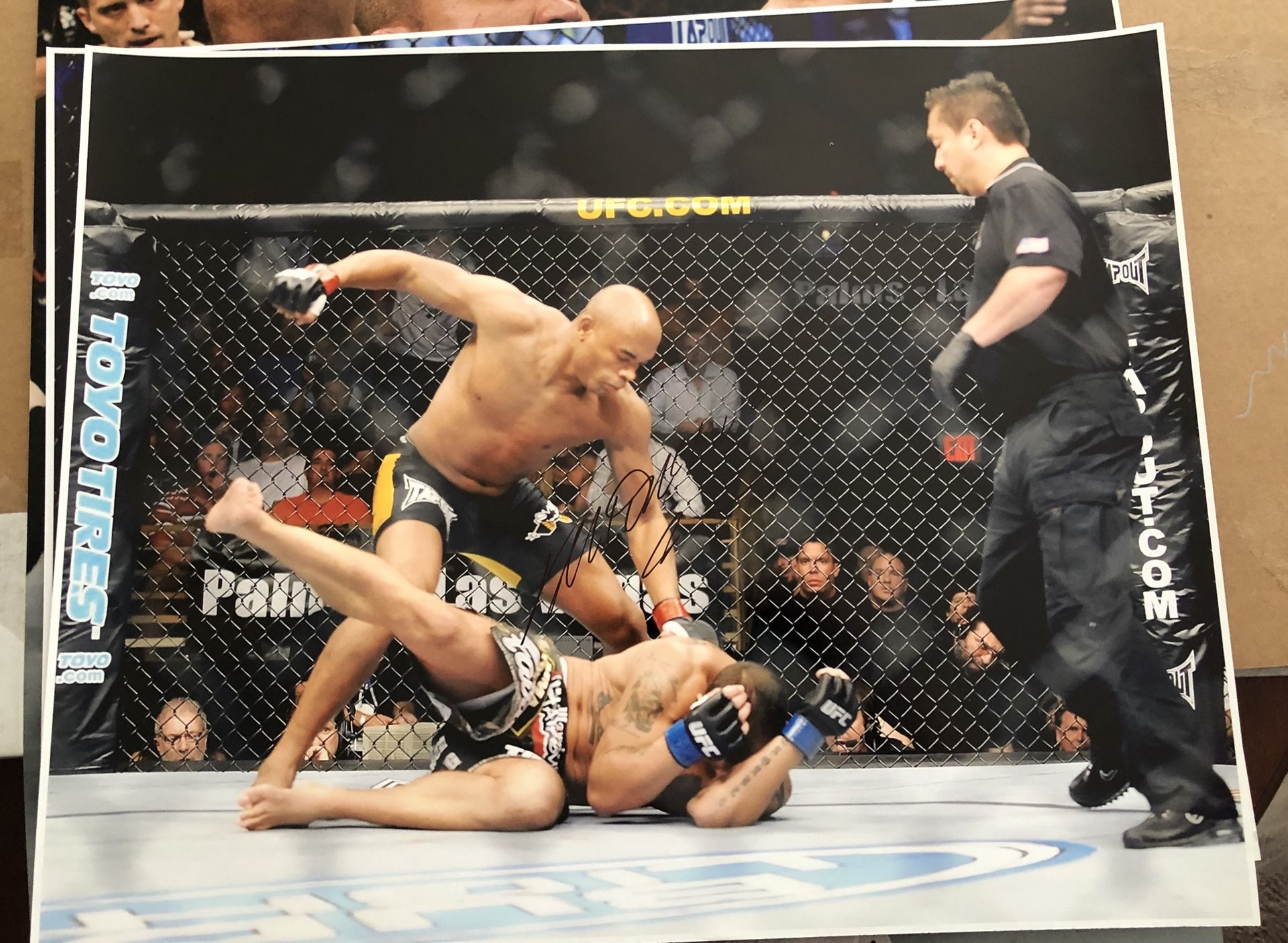 Spider Ufc Fighter