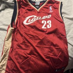 Lebron James Jersey (Reebok)